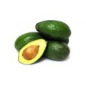 Aguacate Bacon BIO ,precio por kg