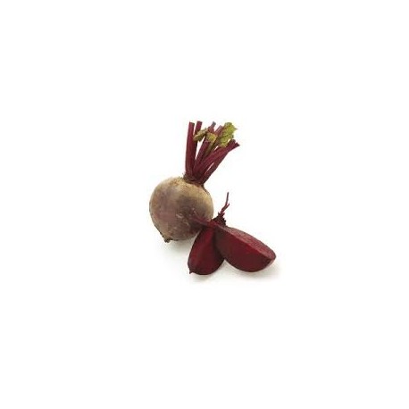 Remolacha BIO