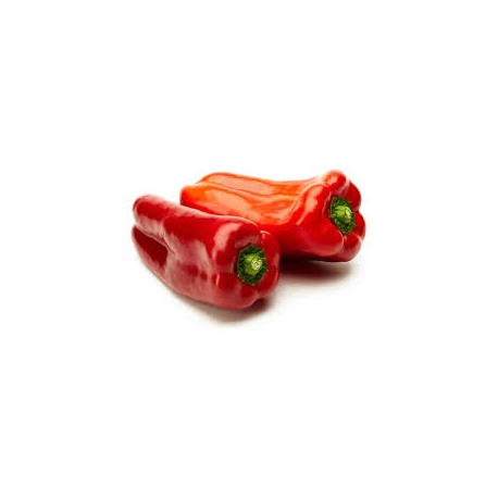 Pimiento lamuyo rojo (para asar) BIO,precio por 100 gramos