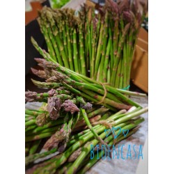 Espárragos BIO, manojo de 250 grs. -aproximadamente-