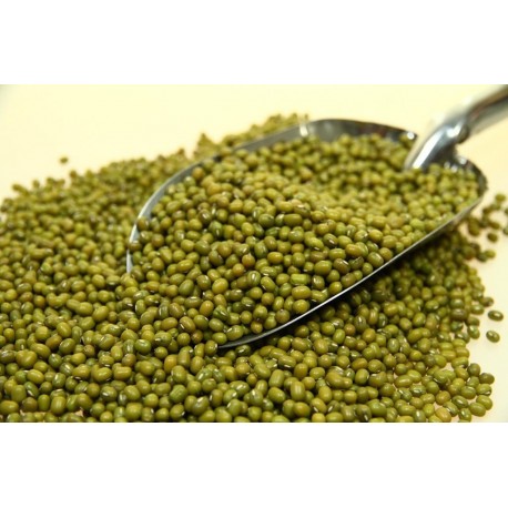 Soja Verde BIO 500gr