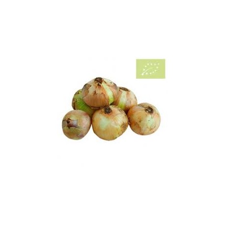 Cebolla semiseca BIO (Granada) el Kg