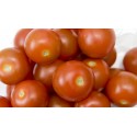 Tomate cherry redondo BIO (Granada) el Kg