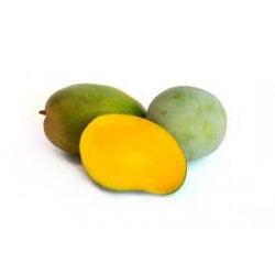 Mango Keitt ECO,precio por kg