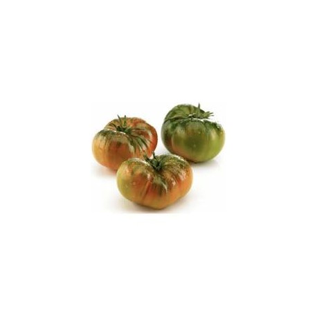 Tomate raf BIO, precio por 100 gramos