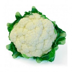 Coliflor BIO (Granada) el Kg