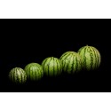 Sandia mini BIO, precio por 100 gramos.