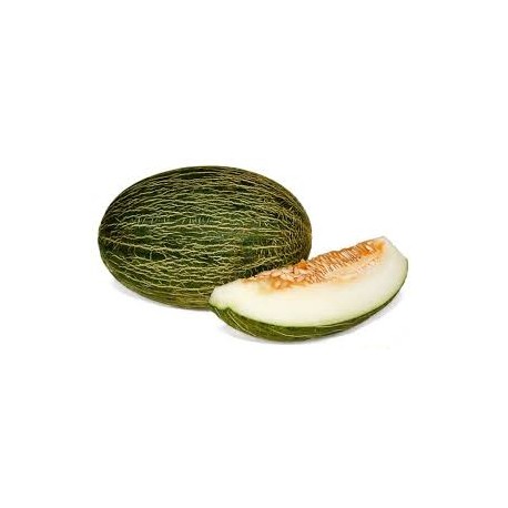 Melon piel de sapo BIO,precio por kg
