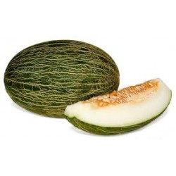 Melon piel de sapo BIO,precio por kg