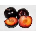 Ciruela roja Eco,precio por Kg