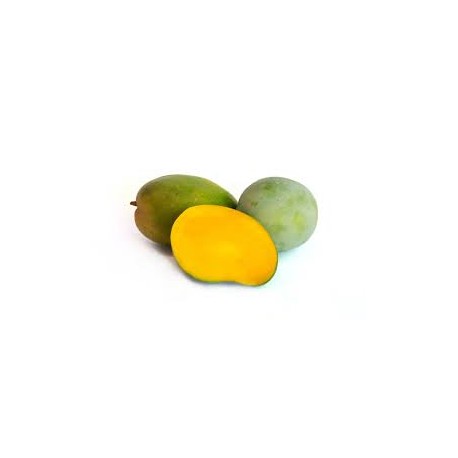 Mango Keitt ECO,precio por kg