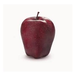 Manzana red delicious BIO,precio por 100 gramos