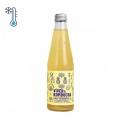 Kombucha BIO Oceánica Piña hierbabuena 330 ml. VIVER. Elaborado en GRANADA
