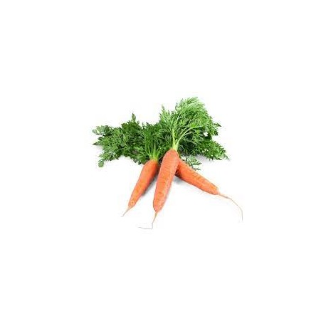 Zanahoria con hoja BIO, precio por 100 gramos
