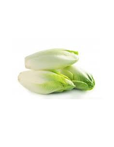 Endivia ECO, bandeja 400 grs. aprox.