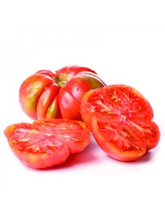 Comprar Tomate Feo de Tudela BIO,precio por kg - BIOENCASA
