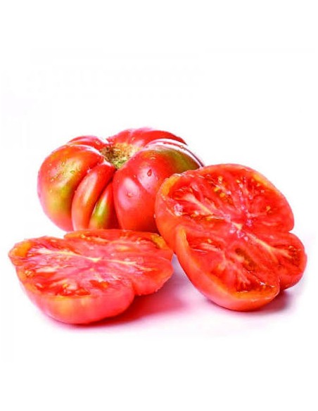 Comprar Tomate Feo de Tudela BIO,precio por kg - BIOENCASA