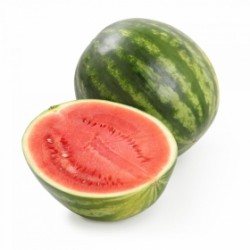 Sandia rayada