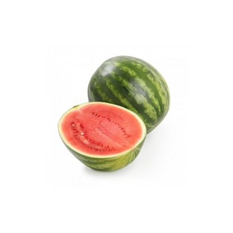 Sandia rayada
