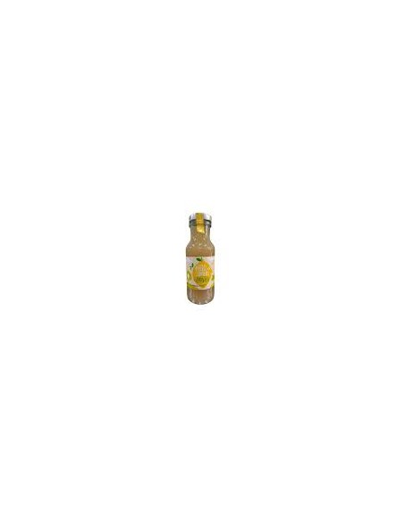 Limonada BIO 200 ml. Biozumers