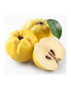 Comprar Membrillo BIO, precio 100 grs. - BIOENCASA
