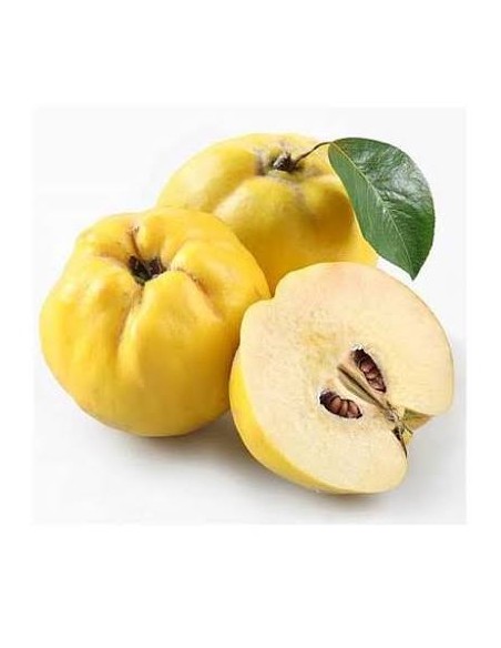 Comprar Membrillo BIO, precio 100 grs. - BIOENCASA