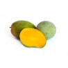 Mango Keitt ECO,precio por kg