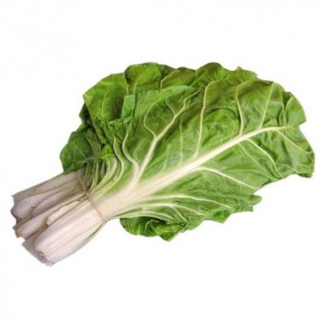 Acelga manojo 500 gr