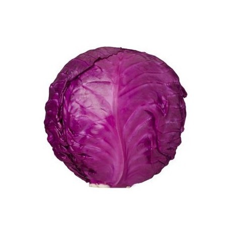 Col Lombarda BIO