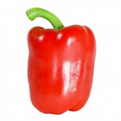 Pimiento california rojo BIO (Málaga) el Kg