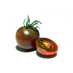 Tomate negro BIO (Granada) el Kg
